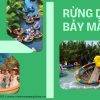 Tour Rừng Dừa Bảy Mẫu
