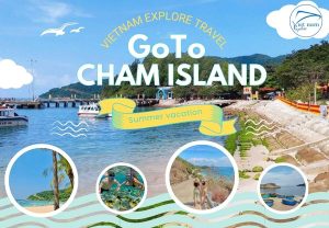 Cham Island Snorkeling & Beach Day Tour