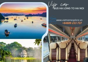 Vip Bus Ha Long To Ha Noi (One Way)