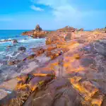 Tour Động Phong Nha - Biển Đá Nhảy Quảng Bình