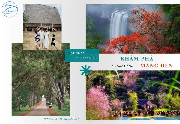 Tour Măng Đen 3 ngày 2 đêm từ Đà Nẵng | Khởi hành thứ 6 hàng tuần