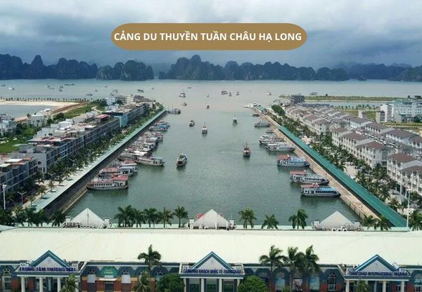 cang-du-thuyen-tuan-chuan-ha-long