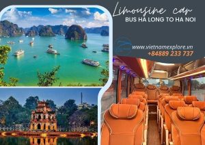 Limousine Bus Ha Long To Ha Noi (One Way)