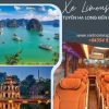 Xe Limousine Hạ Long đến Hà Nội (1 chiều)