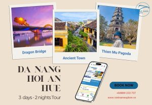 Da Nang – Hoi An – Hue 3-Day Tour | Marble Mountain, Coconut Forest, Hue Citadel & Linh Ung Pagoda