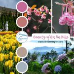 A Floral Paradise in the Clouds: Experiencing the Beauty of Ba Na Hills