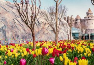 flower garden ba na hills