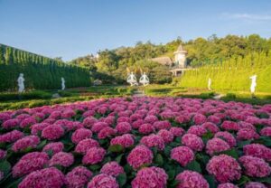 flower garden ba na hills