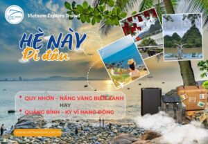 Tour Quy Nhơn 2 Ngày 1 Đêm Và Tour Quảng Bình 2 Ngày 1 Đêm – Hai Lựa Chọn Du Lịch Hè 2026