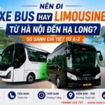 Nên Đi Xe Bus hay Limousine Hà Nội Hạ Long? So Sánh Chi Tiết Từ A-Z