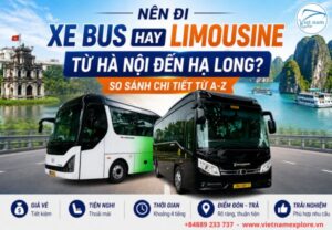 Nên Đi Xe Bus hay Limousine Hà Nội Hạ Long? So Sánh Chi Tiết Từ A-Z