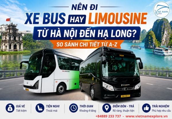 Nên Đi Xe Bus hay Limousine Hà Nội Hạ Long? So Sánh Chi Tiết Từ A-Z