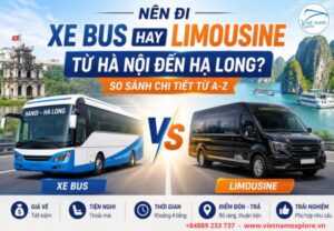 Nên Đi Xe Bus hay Limousine Hà Nội Hạ Long? So Sánh Chi Tiết Từ A-Z