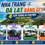 Nha Trang đi Đà Lạt bằng gì? 4 lựa chọn di chuyển phổ biến nhất