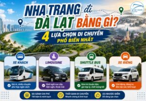 Nha Trang đi Đà Lạt bằng gì? 4 lựa chọn di chuyển phổ biến nhất