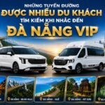 Những tuyến đường được nhiều du khách tìm kiếm khi nhắc đến Đà Nẵng VIP