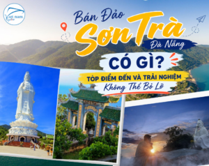 Bán Đảo Sơn Trà Đà Nẵng Có Gì? Top Điểm Đến Và Trải Nghiệm Không Thể Bỏ Lỡ